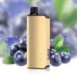 Wholesale Alibarbar Ingot 9000 Puffs Blueberry Blast Bulk Disposable Vape | OzAlibarbarBulk