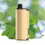 Wholesale Alibarbar Ingot 9000 Puffs Cool mint Bulk Disposable Vape | OzAlibarbarBulk