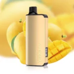 Wholesale Alibarbar Ingot 9000 Puffs Mango Magic Bulk Disposable Vape | OzAlibarbarBulk
